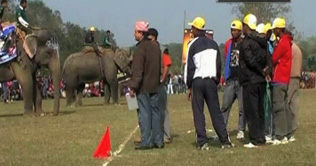 Chitwan Elephant Festival ends in Nepal